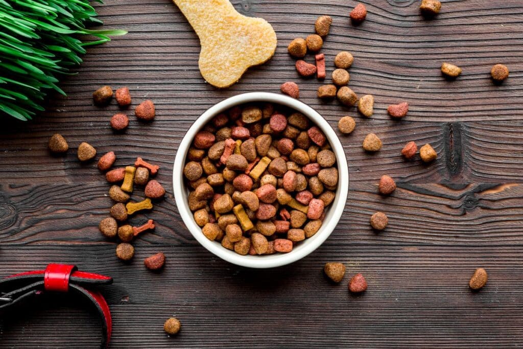 dog food in a bowl flatlay